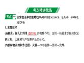 2024内蒙古中考生物二轮中考考点研究 主题九 生物技术课件