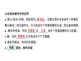 2024内蒙古中考生物二轮中考考点研究 主题九 生物技术课件