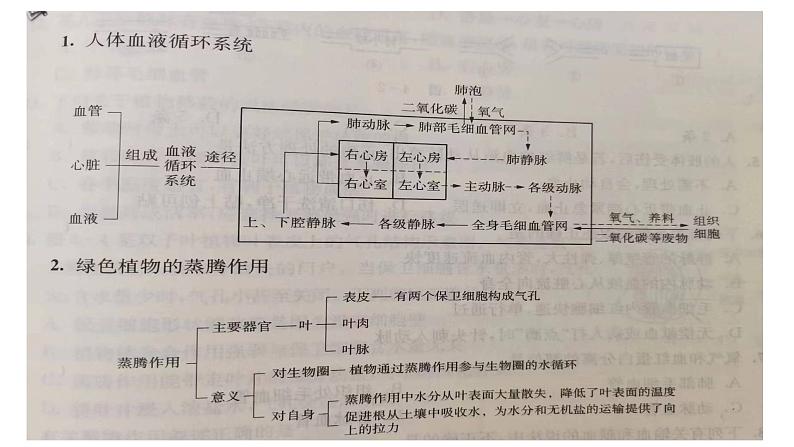 2024年中考生物考试二轮复习课件专题四生物体内物质的运输复习课件第4页