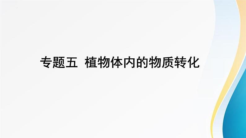 2024年中考生物考试二轮复习课件专题五、植物体内的物质转化(1)复习课件第1页