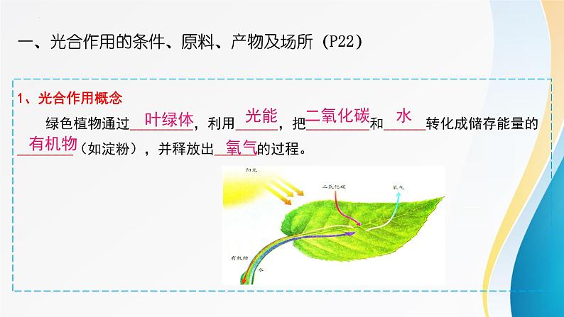 2024年中考生物考试二轮复习课件专题五、植物体内的物质转化(1)复习课件第4页