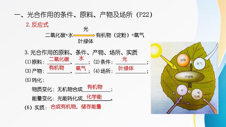 2024年中考生物考试二轮复习课件专题五、植物体内的物质转化(1)复习课件第5页