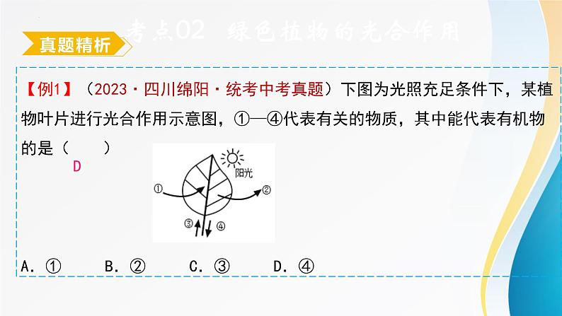 2024年中考生物考试二轮复习课件专题五、植物体内的物质转化(1)复习课件第7页