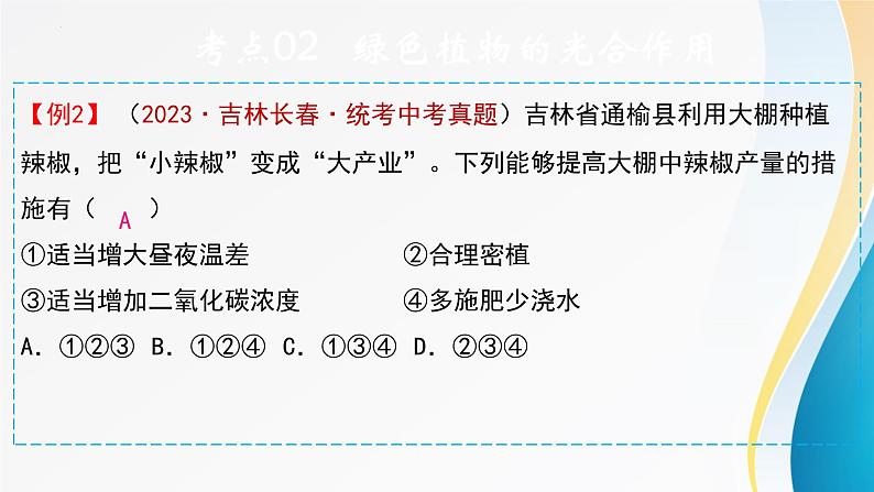 2024年中考生物考试二轮复习课件专题五、植物体内的物质转化(1)复习课件第8页