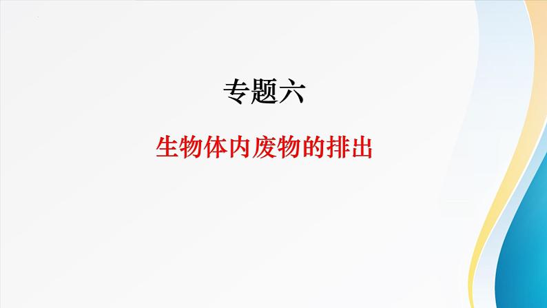 2024年中考生物考试二轮复习课件专题六生物体内废物的排出复习课件第1页