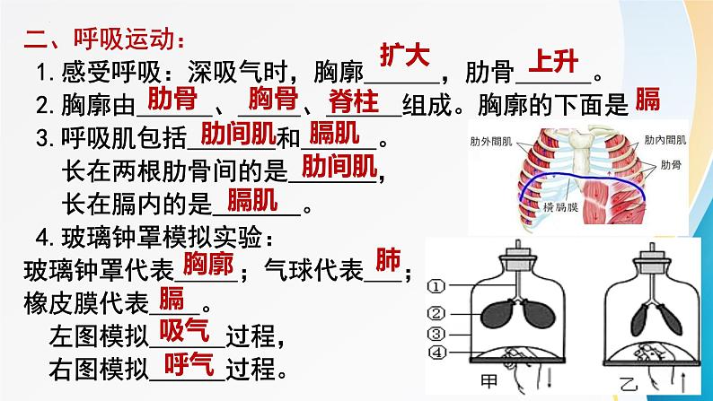 2024年中考生物考试二轮复习课件专题六生物体内废物的排出复习课件第7页