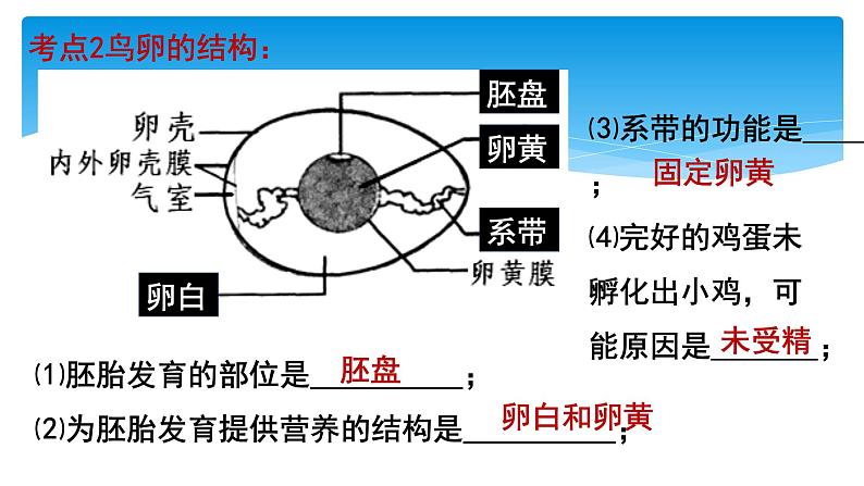 2024年中考生物考试二轮复习课件专题八生物的有性生殖复习课第5页