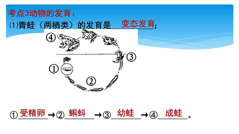 2024年中考生物考试二轮复习课件专题八生物的有性生殖复习课第6页