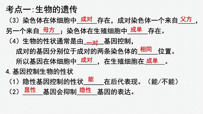 2024年中考生物考试二轮复习课件专题9生物的遗传、变异和进化复习课件第6页