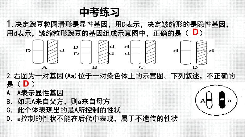 2024年中考生物考试二轮复习课件专题9生物的遗传、变异和进化复习课件第7页