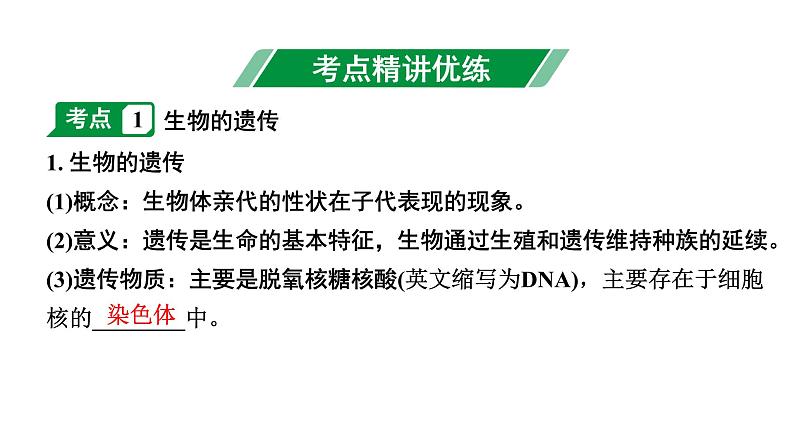 2024年江苏省徐州市中考生物二轮考点研究 第17讲 生物的遗传与变异 习题课件第2页