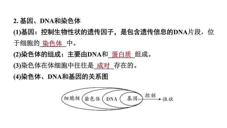 2024年江苏省徐州市中考生物二轮考点研究 第17讲 生物的遗传与变异 习题课件第3页