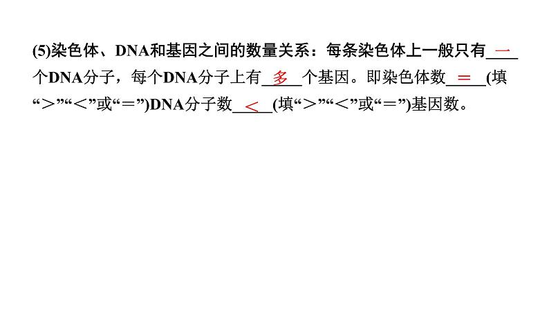 2024年江苏省徐州市中考生物二轮考点研究 第17讲 生物的遗传与变异 习题课件第4页