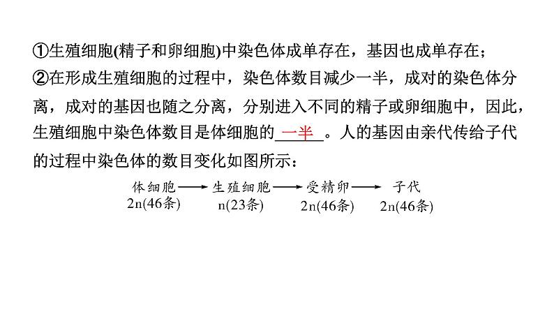 2024年江苏省徐州市中考生物二轮考点研究 第17讲 生物的遗传与变异 习题课件第6页