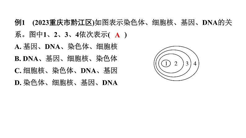 2024年江苏省徐州市中考生物二轮考点研究 第17讲 生物的遗传与变异 习题课件第8页