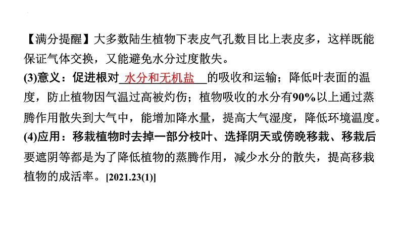 2024年江苏省徐州市中考生物二轮考点研究：第13讲生态系统的稳定课件第3页