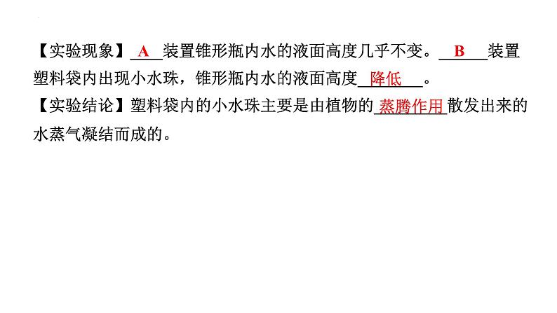 2024年江苏省徐州市中考生物二轮考点研究：第13讲生态系统的稳定课件第5页