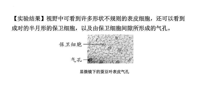 2024年江苏省徐州市中考生物二轮考点研究：第13讲生态系统的稳定课件第7页