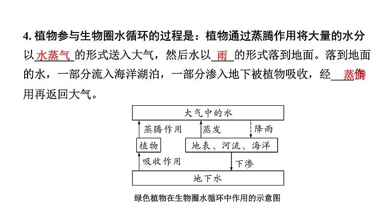 2024年江苏省徐州市中考生物二轮考点研究：第13讲生态系统的稳定课件第8页