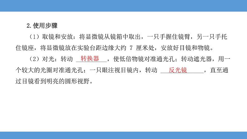 2024年河北省中考生物知识梳理专题课件——专题二生物体的结构层次第4页