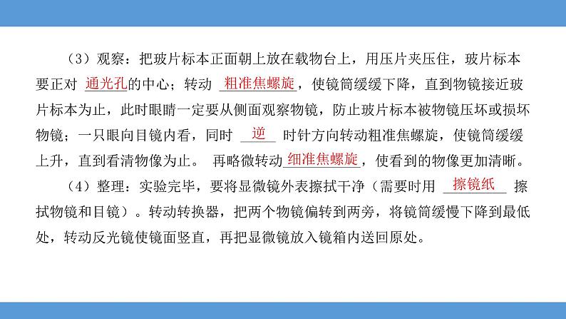 2024年河北省中考生物知识梳理专题课件——专题二生物体的结构层次第5页