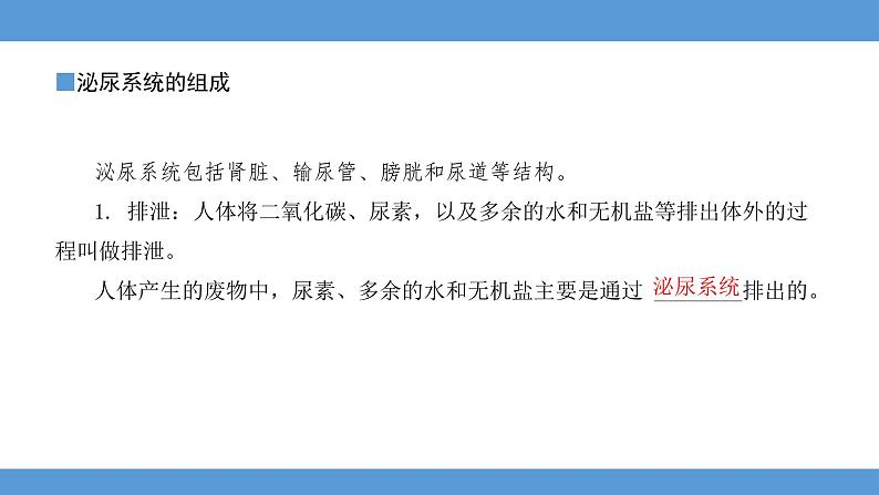 2024年河北省中考生物知识梳理课件——专题七 人体内废物的排出第2页