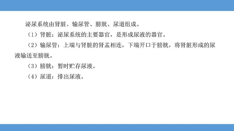 2024年河北省中考生物知识梳理课件——专题七 人体内废物的排出第4页