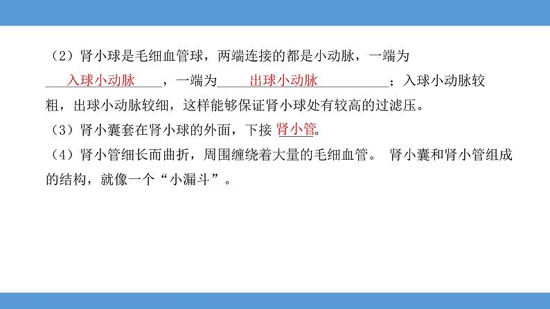 2024年河北省中考生物知识梳理课件——专题七 人体内废物的排出第7页