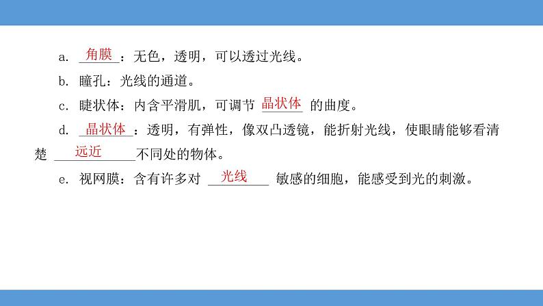 2024年河北省中考生物知识梳理课件——专题八 人体生命活动的调节及人在生物圈中的作用第3页