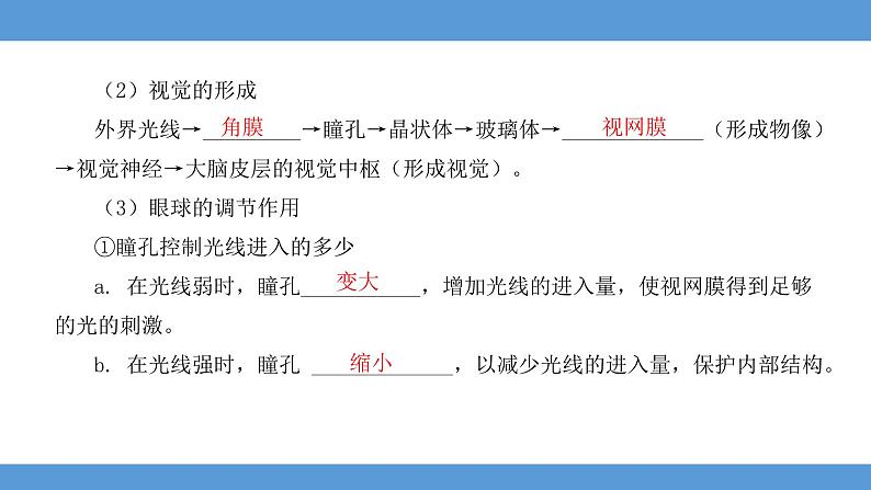 2024年河北省中考生物知识梳理课件——专题八 人体生命活动的调节及人在生物圈中的作用第4页