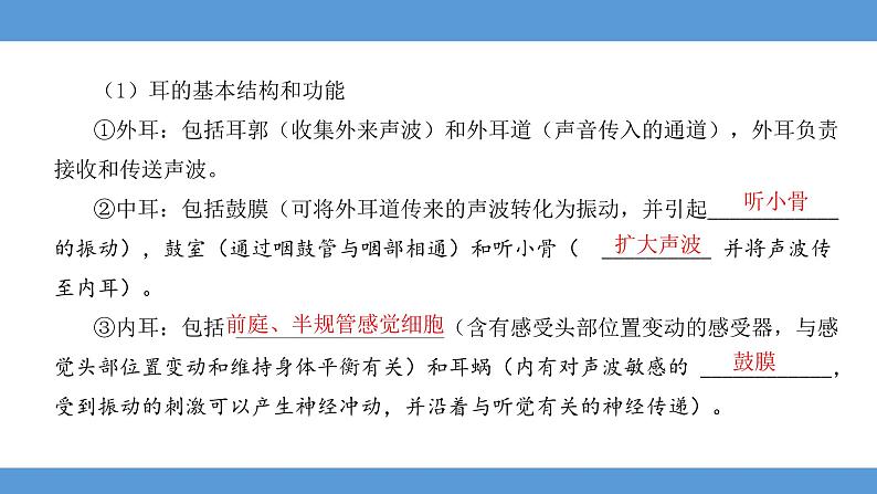 2024年河北省中考生物知识梳理课件——专题八 人体生命活动的调节及人在生物圈中的作用第8页