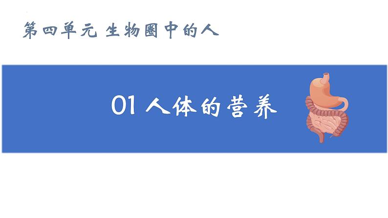 2024年生物中考二轮专题复习课件：专题三 第四单元《生物圈中的人》课件第4页