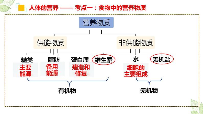 2024年生物中考二轮专题复习课件：专题三 第四单元《生物圈中的人》课件第7页