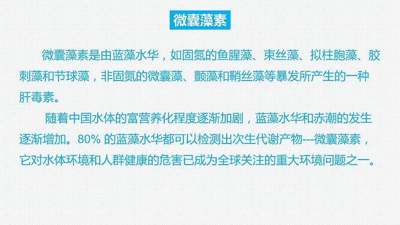 2024年生物中考二轮专题复习课件：解决湖泊水华问题的跨学科实践——《科学探究与跨学科实践》专题复习课件06