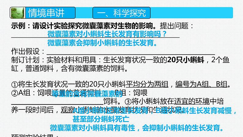 2024年生物中考二轮专题复习课件：解决湖泊水华问题的跨学科实践——《科学探究与跨学科实践》专题复习课件07