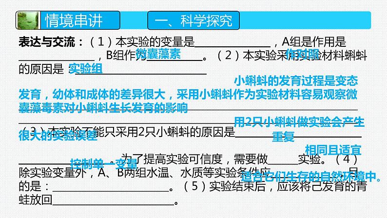 2024年生物中考二轮专题复习课件：解决湖泊水华问题的跨学科实践——《科学探究与跨学科实践》专题复习课件08