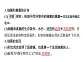 2024广东中考生物二轮考点研究 第18讲 细菌、真菌和病毒 课件