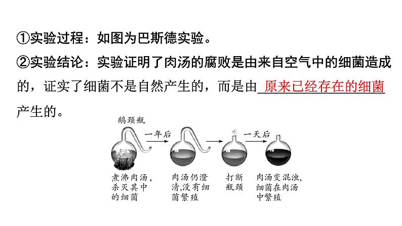 2024广东中考生物二轮考点研究 第18讲 细菌、真菌和病毒 课件06