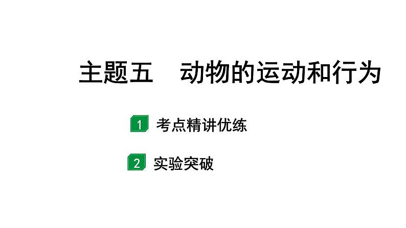 2024广西中考生物二轮考点研究 主题五 动物的运动和行为 课件01