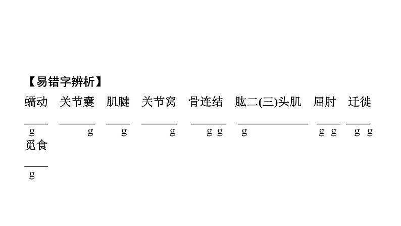 2024广西中考生物二轮考点研究 主题五 动物的运动和行为 课件02