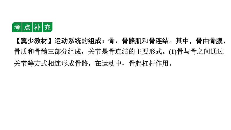 2024江西中考生物二轮中考考点研究 主题六 动物的运动和行为 课件03