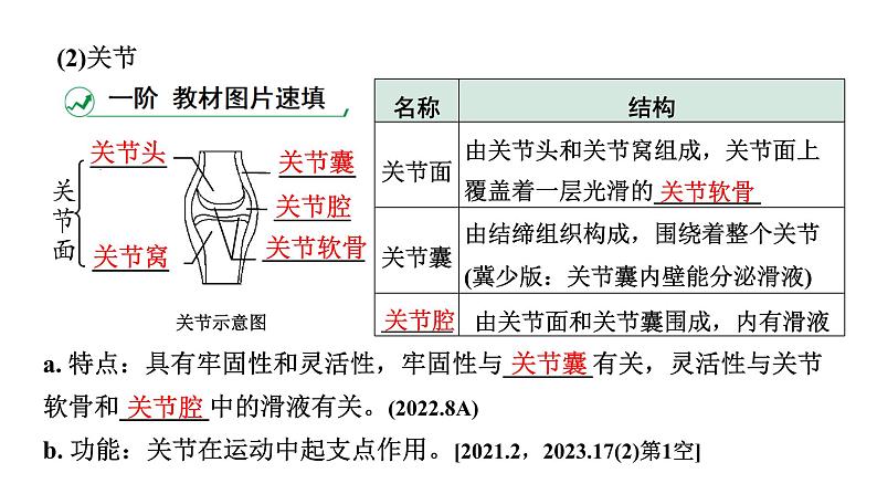 2024江西中考生物二轮中考考点研究 主题六 动物的运动和行为 课件04