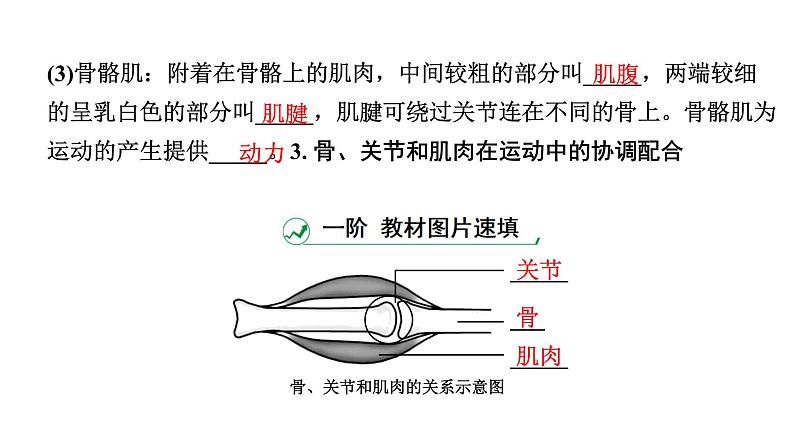 2024江西中考生物二轮中考考点研究 主题六 动物的运动和行为 课件05