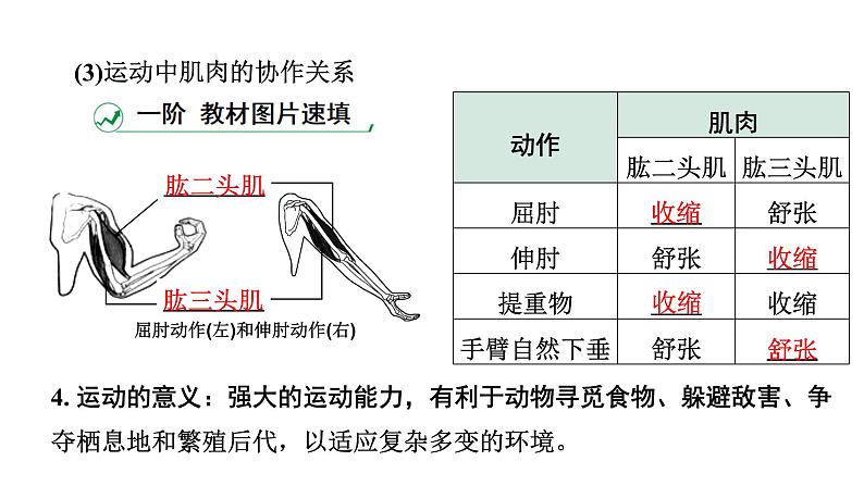 2024江西中考生物二轮中考考点研究 主题六 动物的运动和行为 课件07