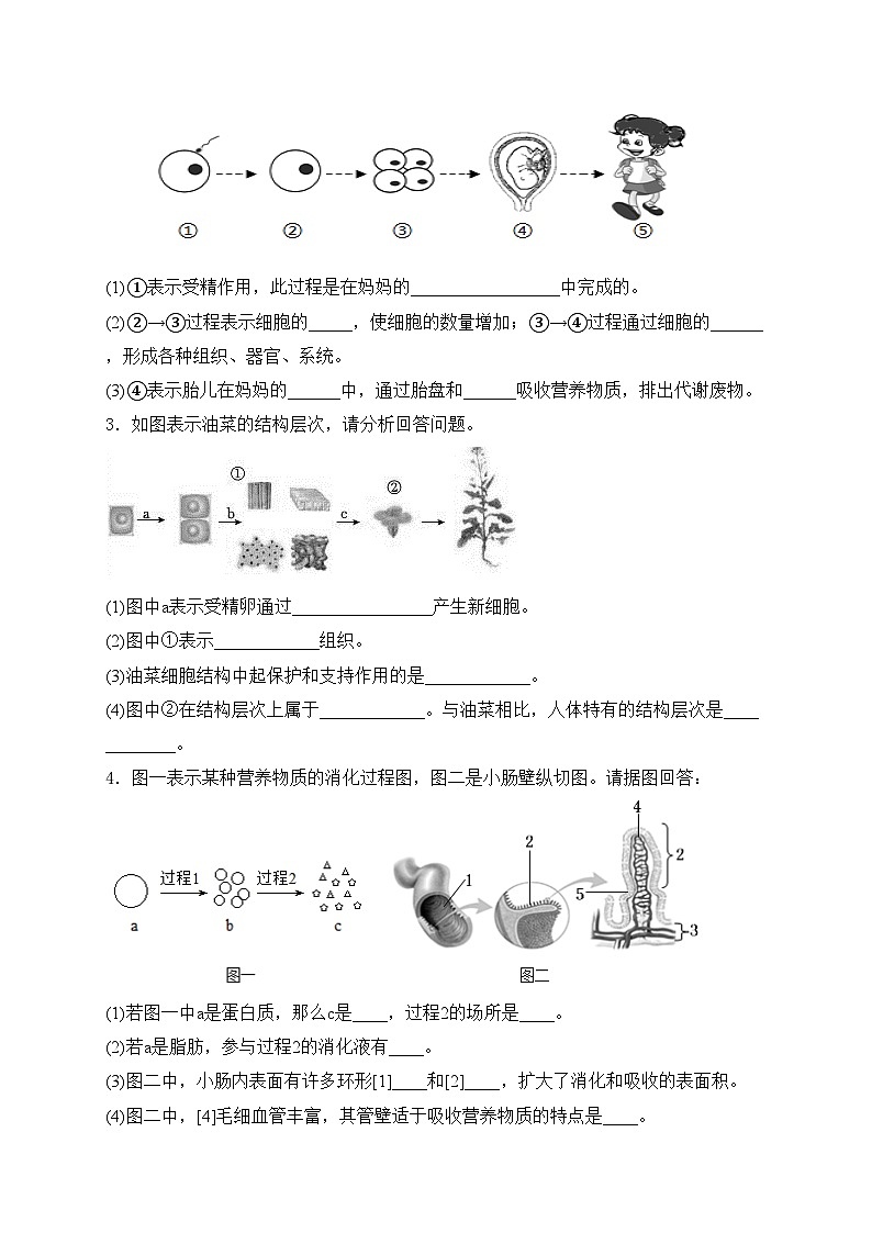 2024届中考生物二轮复习非选择题题型专练：读图理解题——过程示意图(含解析)02