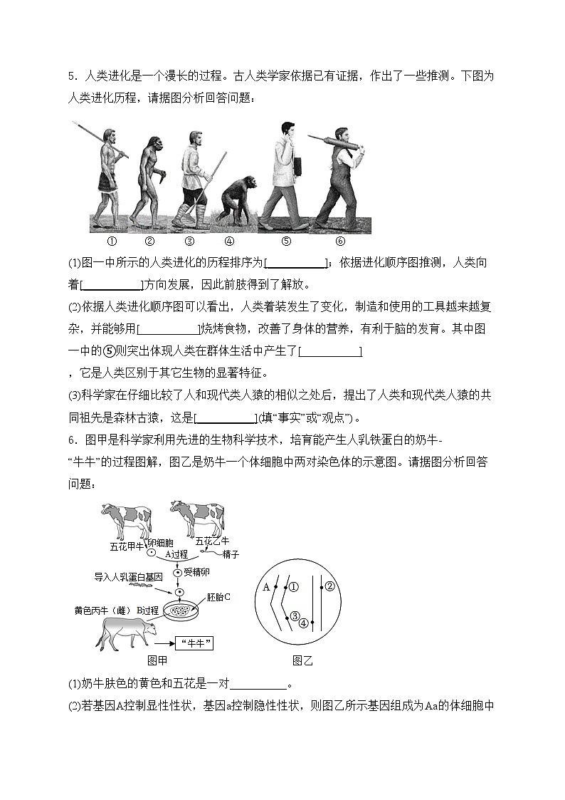 2024届中考生物二轮复习非选择题题型专练：读图理解题——过程示意图(含解析)03