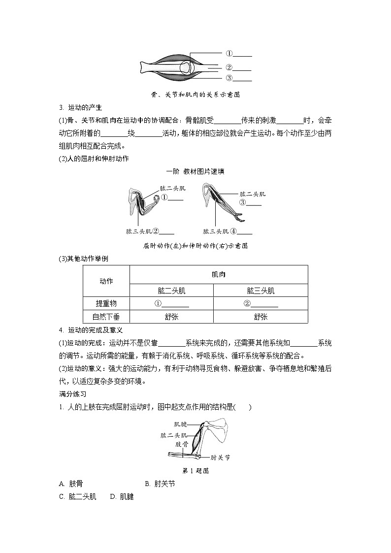 2024山西中考生物二轮复习专题专项训练 主题五 动物的运动和行为 (含答案)第2页