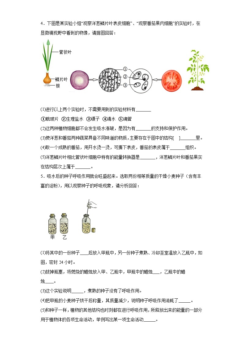 2024年中考生物专题复习：实验探究题（含答案）第3页