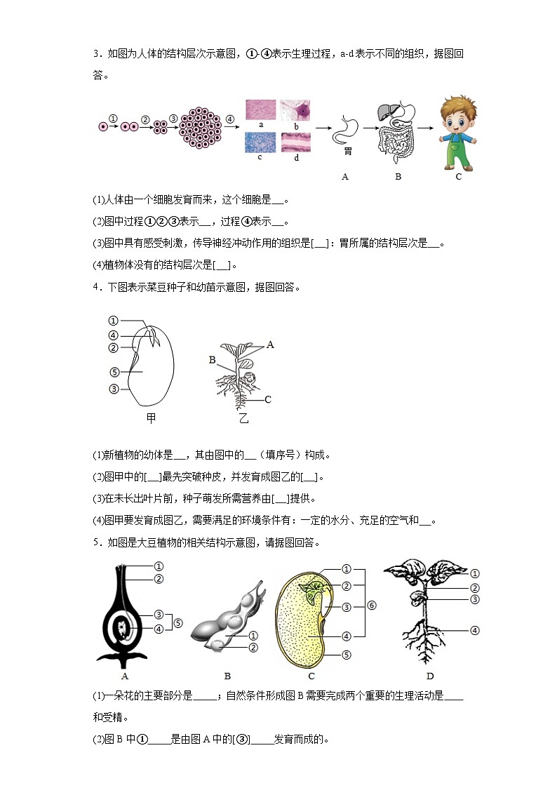 2024年中考生物专题复习：综合题训练（含答案）第2页