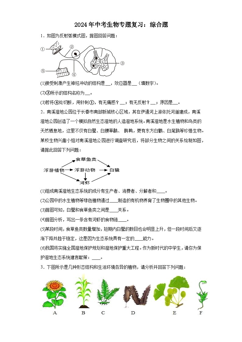 2024年中考生物专题复习：综合题（含答案）第1页